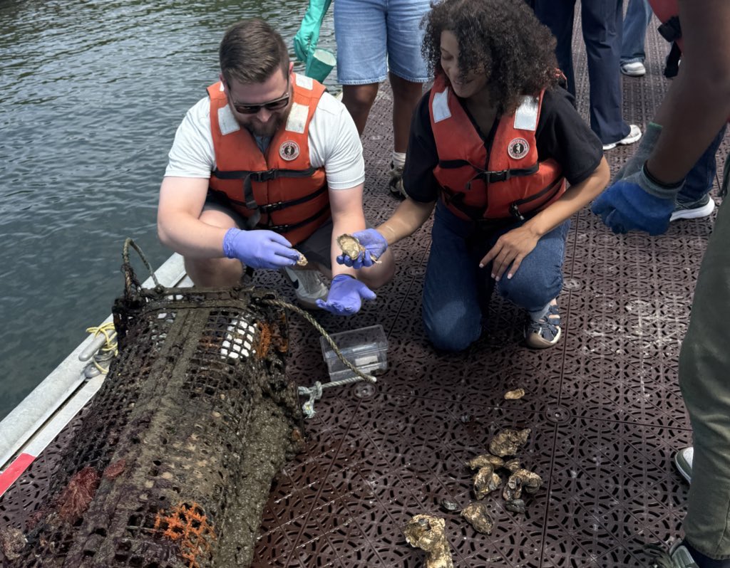 SolagesNY's tweet image. We had an incredible day with the @SUNYESF Timbuctoo Institute cohort exploring the @BillionOyster Project 🦪 alongside @BPHACaucus and @JohnBKing on Governors Island.
It was a hands-on reminder that climate careers and real opportunities are growing right here at home.