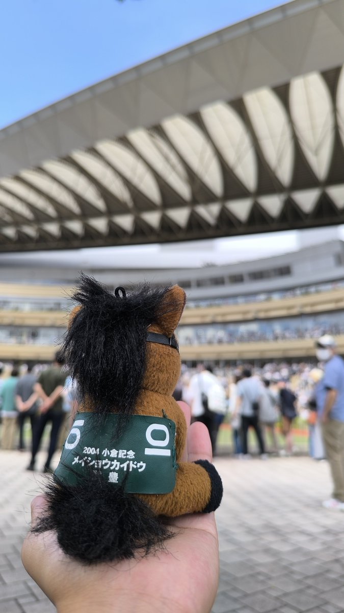 馬上の人 maxresdefault.jpg?sqp=-