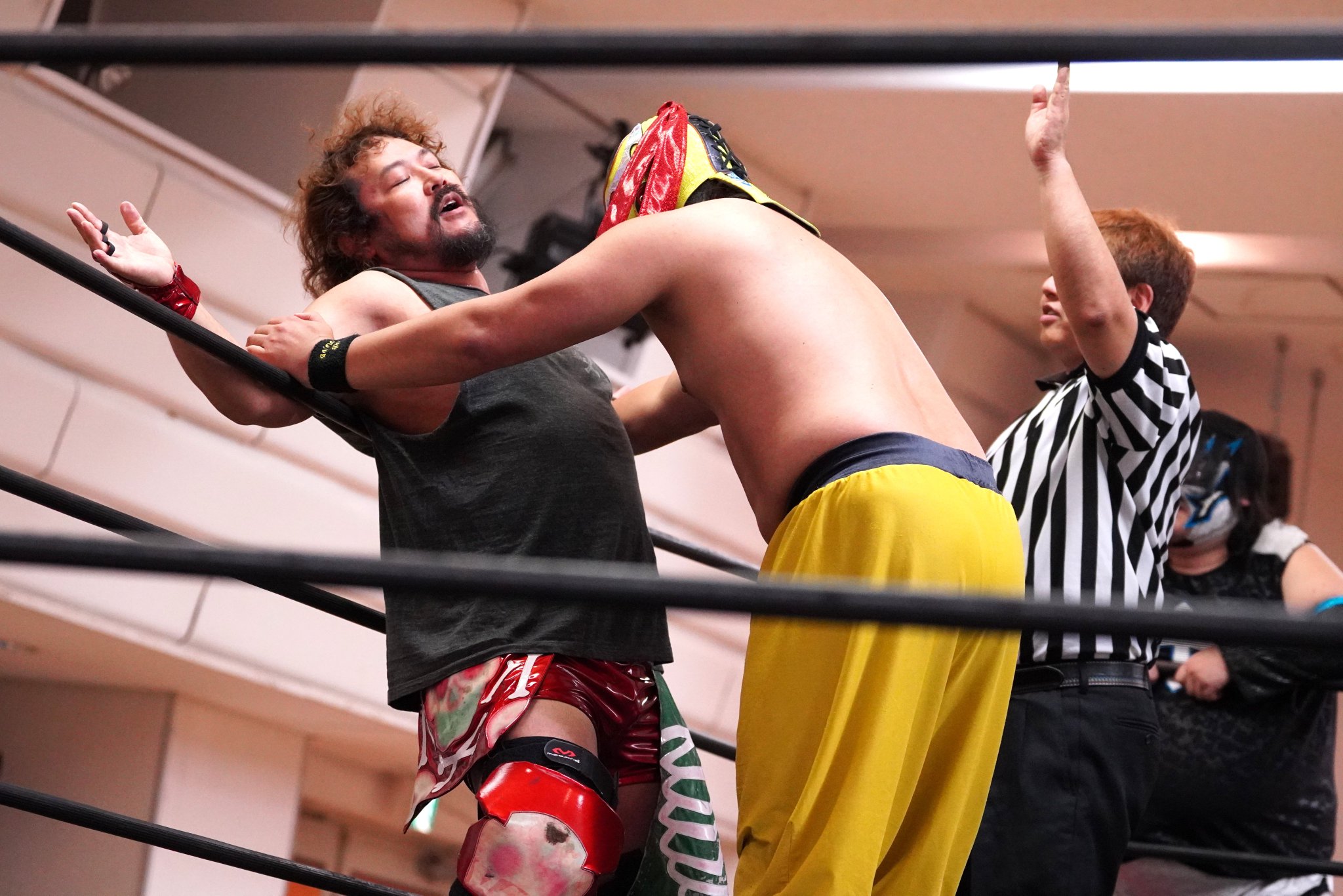 ★超激レア★新日本プロレス 選手バスA&B 2台セット 🐦🦊ぴょん🙏にょき🦊🐦 on X: 