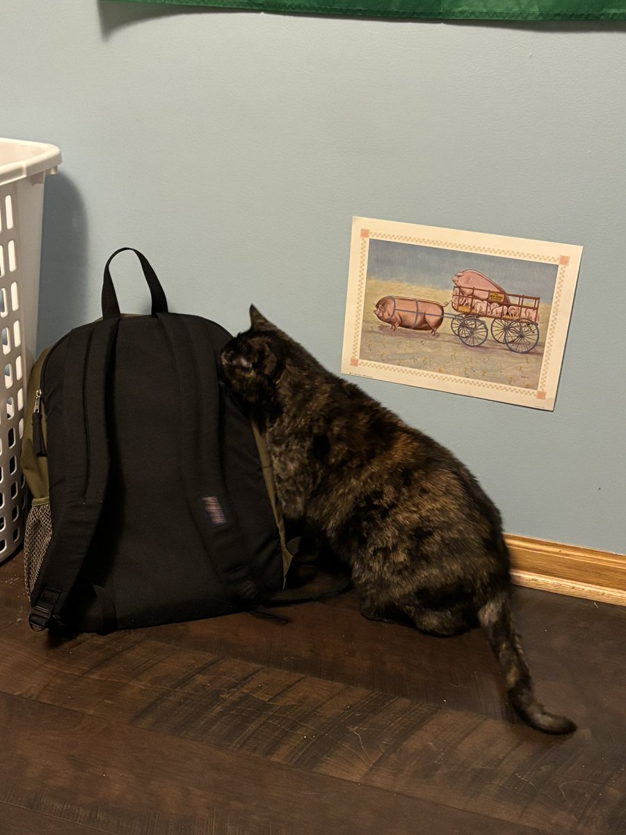 fhardcat's tweet image. TAKE YOUR LAPTOPS AND YOUR DRINKS OUT YOUR BAG IF YOU HAVE A HAT ON TAKE IT OFF !!