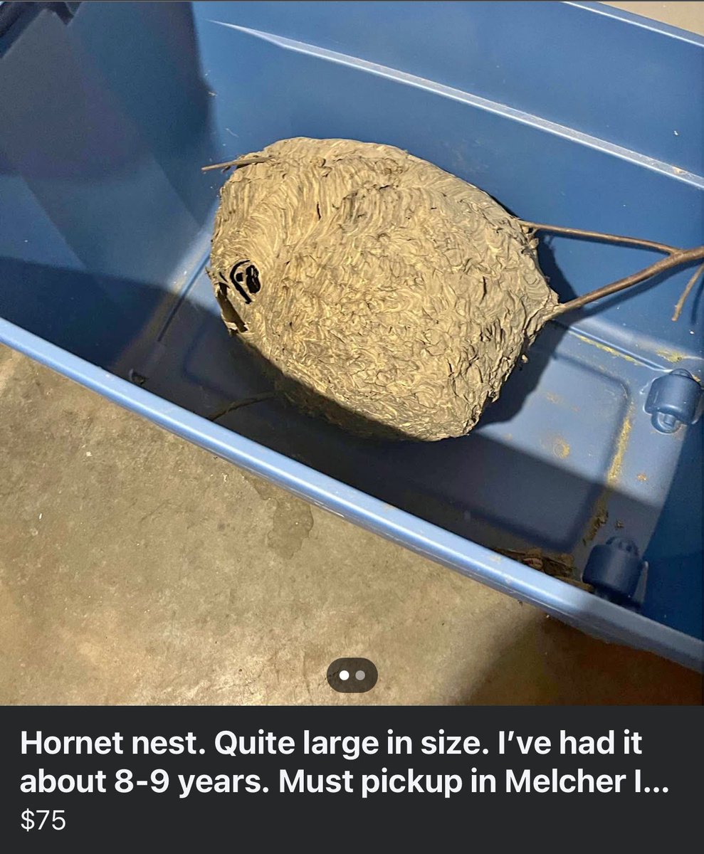 Textvres's tweet image. i’m genuinely so confused is this a good deal?