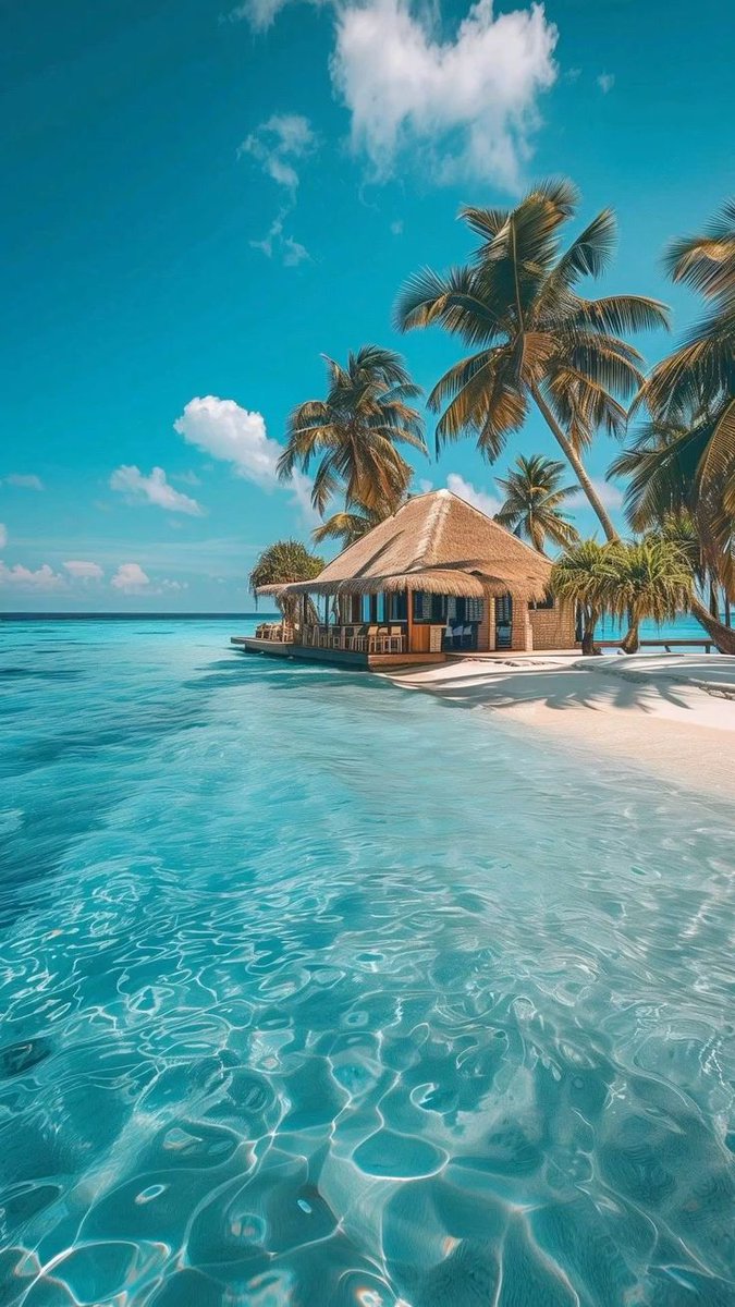 water_diaries's tweet image. 