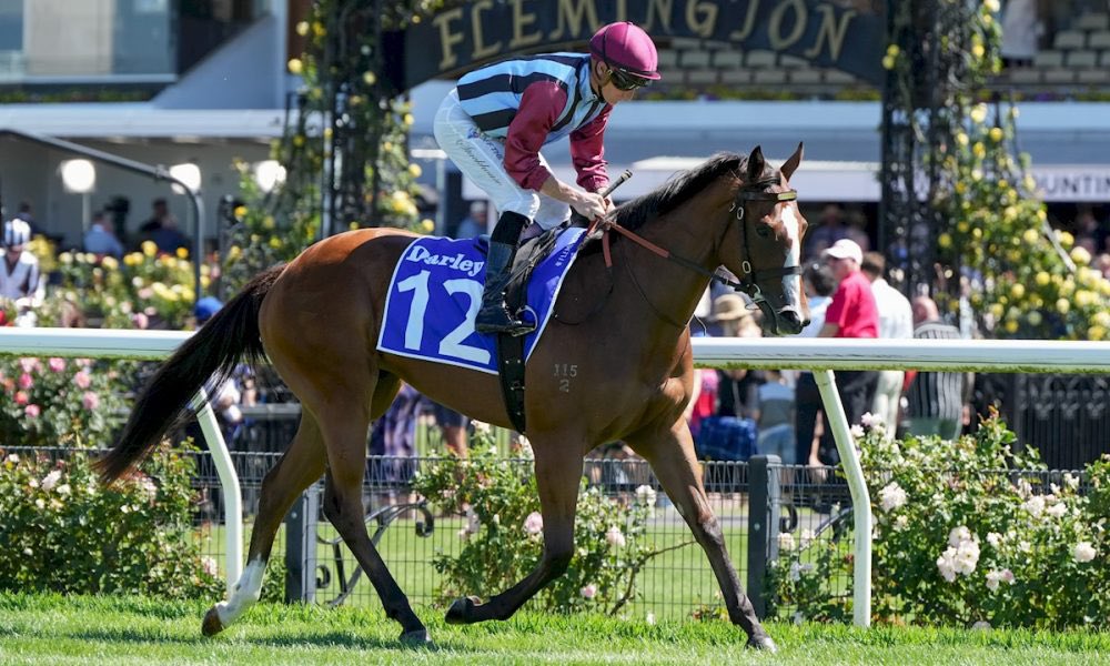 Our beautiful Earthlight filly resumes today at headquarters 🏇🏼
Best of luck to her ownership group!

R4 H2 Petit Artiste D Stackhouse 56kg