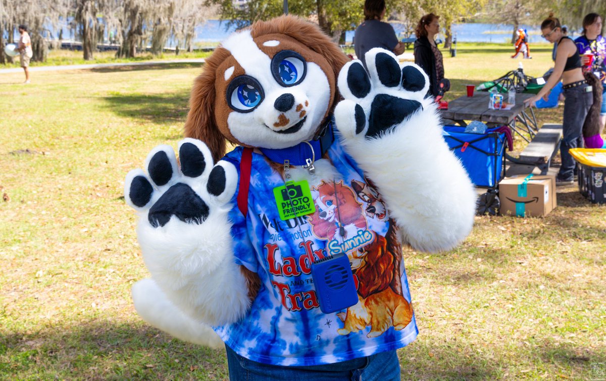 Sunnie the Spaniel ➡️ Megaplex 2026 🦕 tweet media