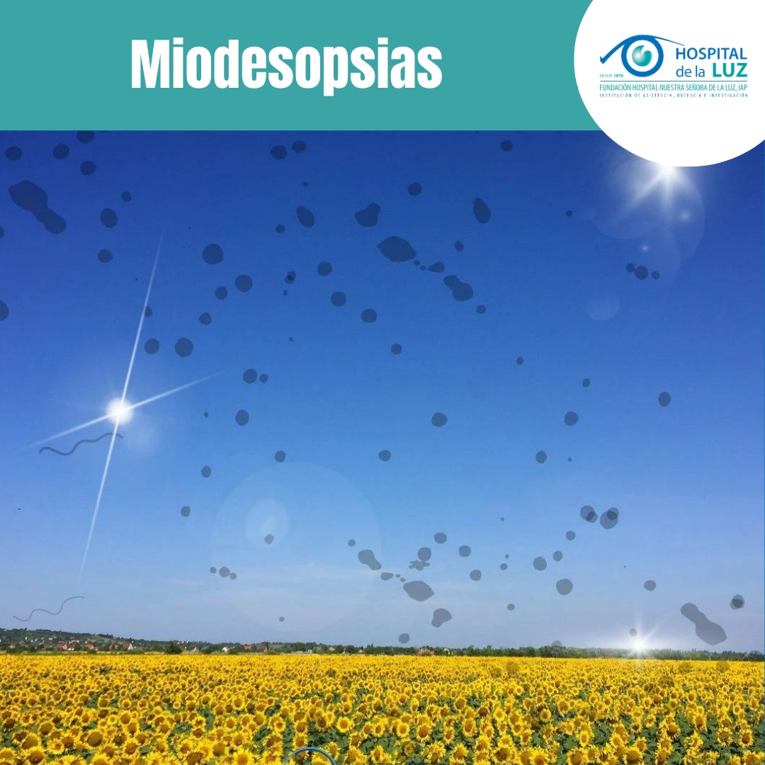 Si tienes síntomas como visión de moscas voladoras, destellos luminosos o una cortina negra, acude a una revisión oftalmológica ya que podría tratarse de un desprendimiento de retina.