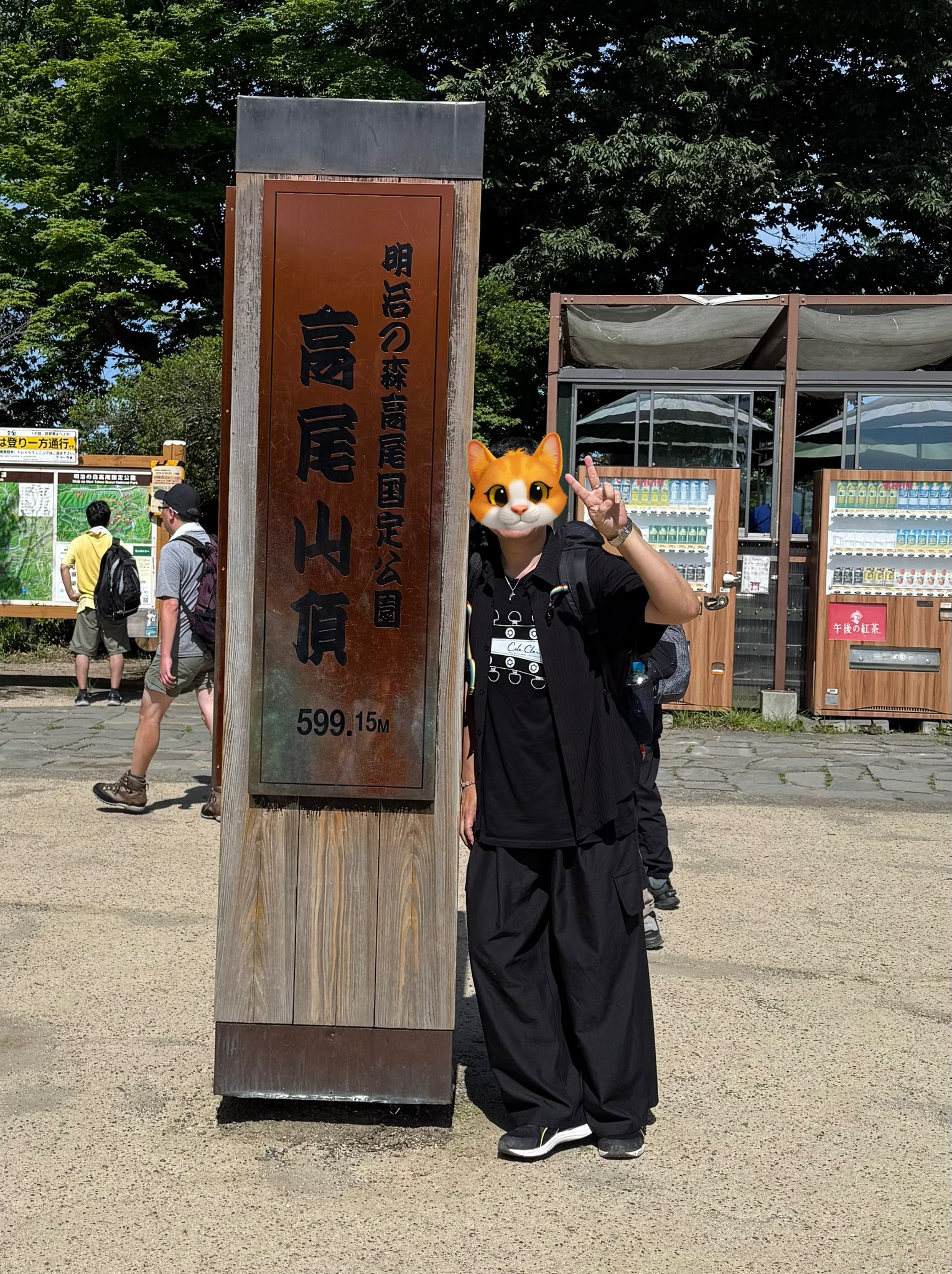 真*丸様 オークション【匿名配送】②選抜　太棘　特大　アガべ　白幽霊TC 上澳園 髭太郎丸さん #アカツキ2020 #髭太郎丸 #丸藤運輸 #三菱ふそう