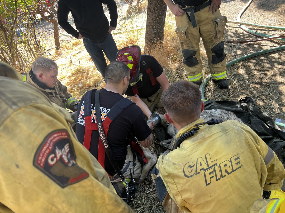 CALFIRELNU's tweet image. 🐾 Dog Rescued from House Fire! 🐕🦺🔥
On Friday morning, CAL FIRE LNU firefighters teamed up with Lake County Fire Protection District to battle a residential fire on Bonham Rd in Lower Lake.
While working the scene, crews discovered a dog trapped inside the home. Without…