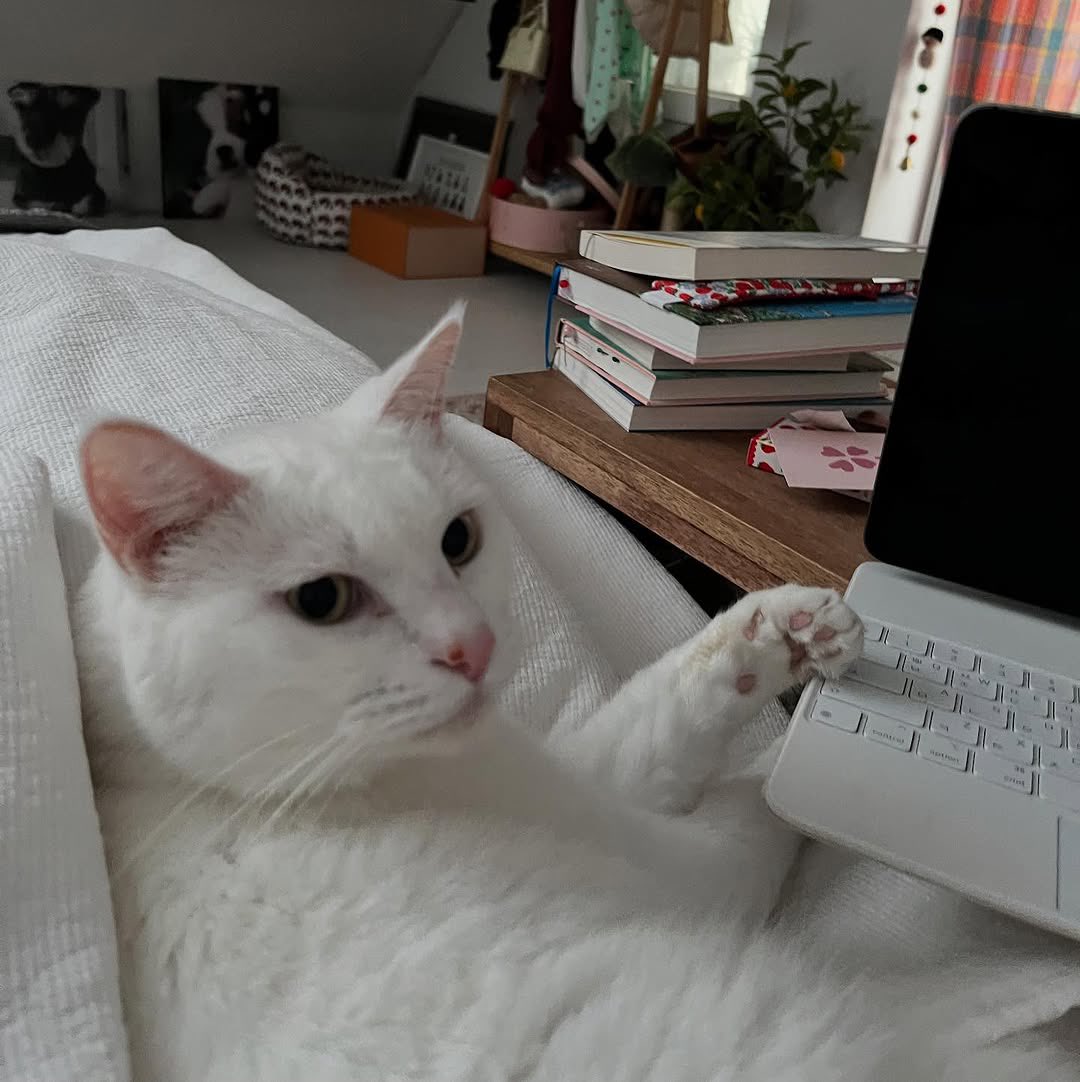 soobinms's tweet image. Good morning! It’s weekend and Haku keep working 😝