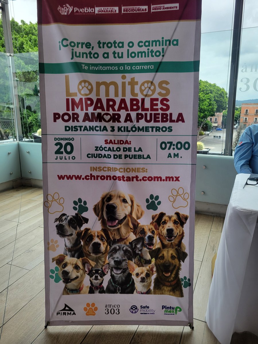 Patricia Moreno S. (@abcpato) on Twitter photo #TommyArmenta invita a la primera carrera de #LomitosAmparables que promueve el <a href="/PueblaAyto/">Ayuntamiento de Puebla</a> que se llevará a cabo el próximo domingo 20 de julio.
La salida es a las 7 de la mañana en el zócalo de la ciudad.
Información en redes sociales del municipio. #TommyArmenta invita a la primera carrera de #LomitosAmparables que promueve el <a href="/PueblaAyto/">Ayuntamiento de Puebla</a> que se llevará a cabo el próximo domingo 20 de julio.
La salida es a las 7 de la mañana en el zócalo de la ciudad.
Información en redes sociales del municipio.