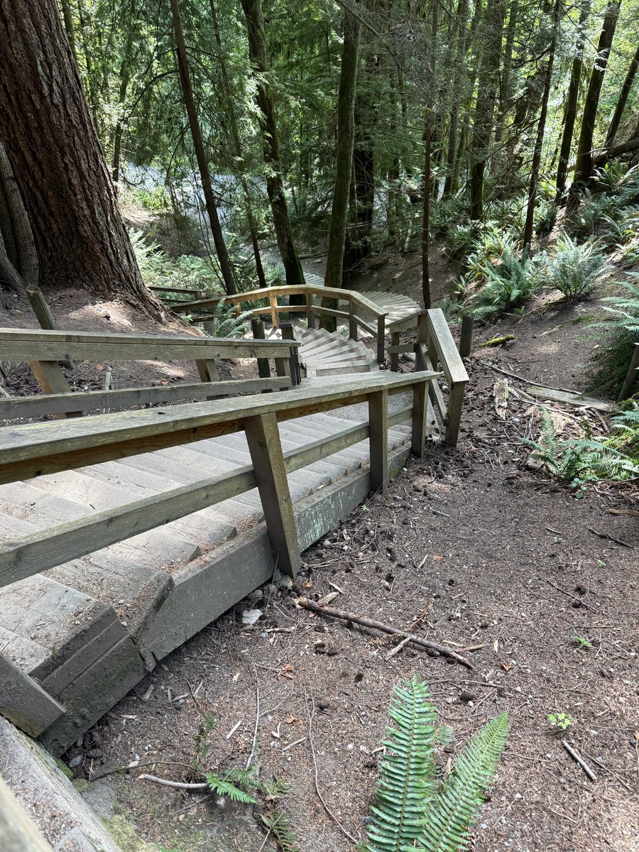 Tough but beautiful hike this afternoon in Capilano Regional Park, British Columbia.<a href="/ChrisWigent/">Chris Wigent</a>