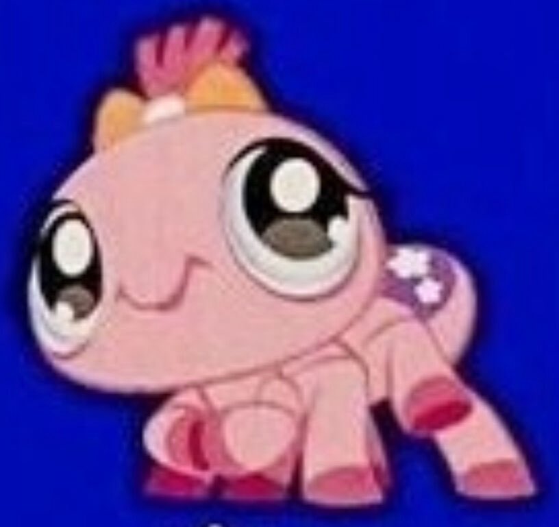 pocketlps's tweet image. if you know about tarantula keeping plss
dm me !! i want to ask for advice for mine