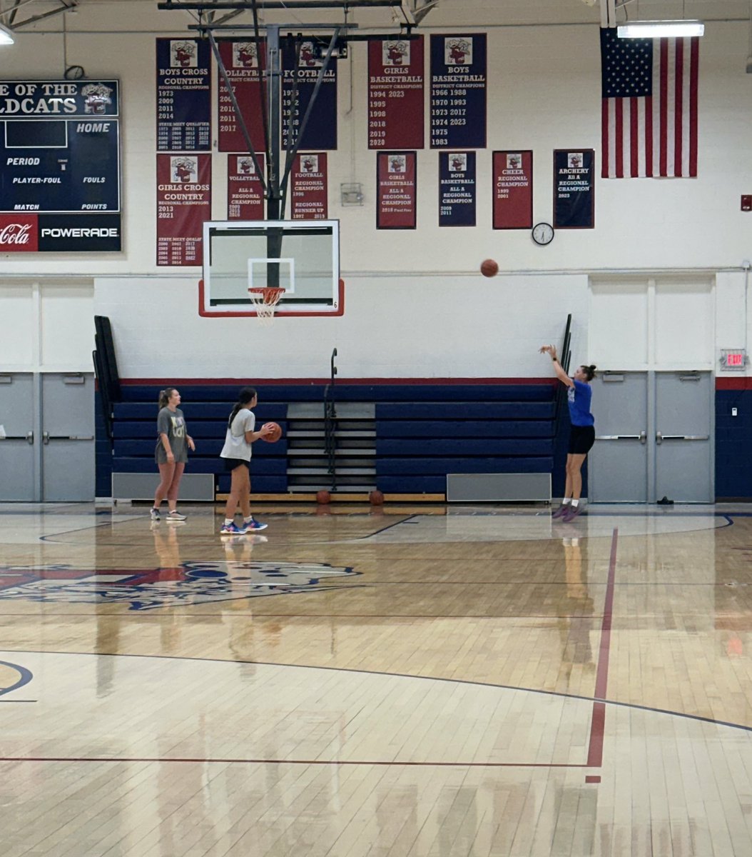 Edmonson County Girls Basketball (@ec_ladycatbball) on Twitter photo These girls deserve their flowers. Player led basketball workout on a Friday night. THE SEPARATION!! These girls deserve their flowers. Player led basketball workout on a Friday night. THE SEPARATION!!