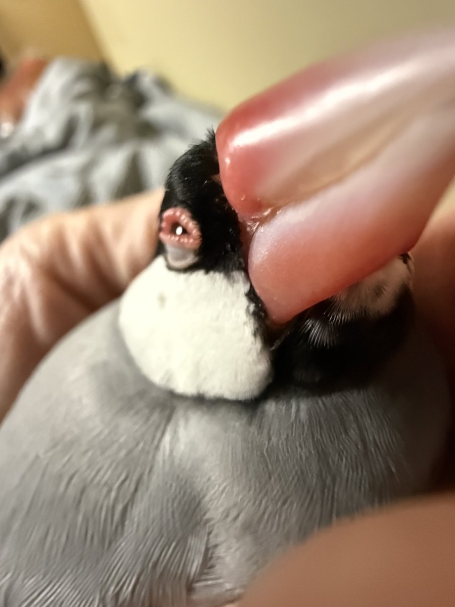 この至福の表情が
私を癒してくれるのぉぉぉぉ♡♡