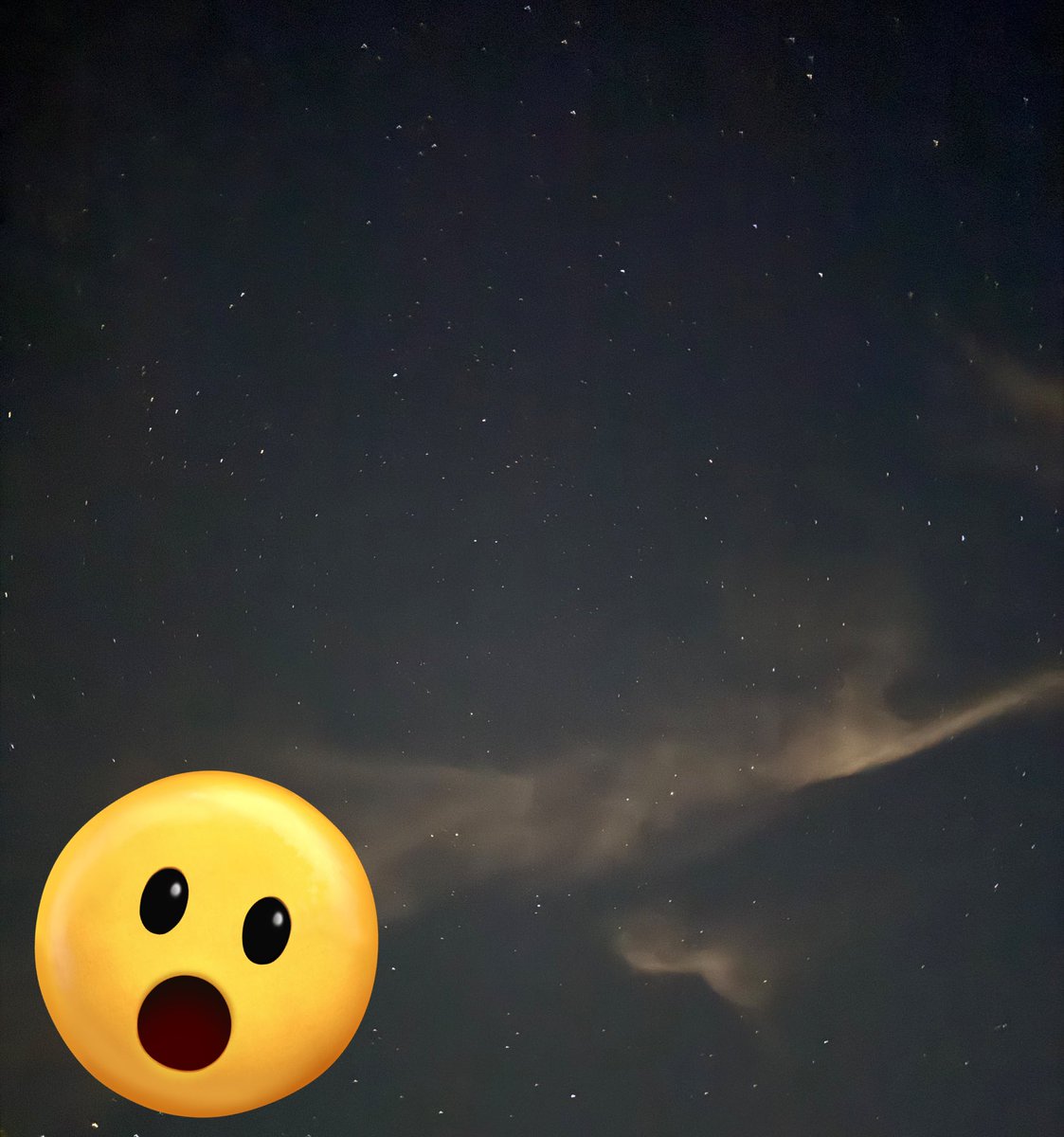 昨日仕事終わりに
家族みんなで天の川見に行った！！🐰🐣

天の川ではなかったけど綺麗な星たくさん見れた✨
が、夜の出るのはやっぱちょと怖い🫠笑