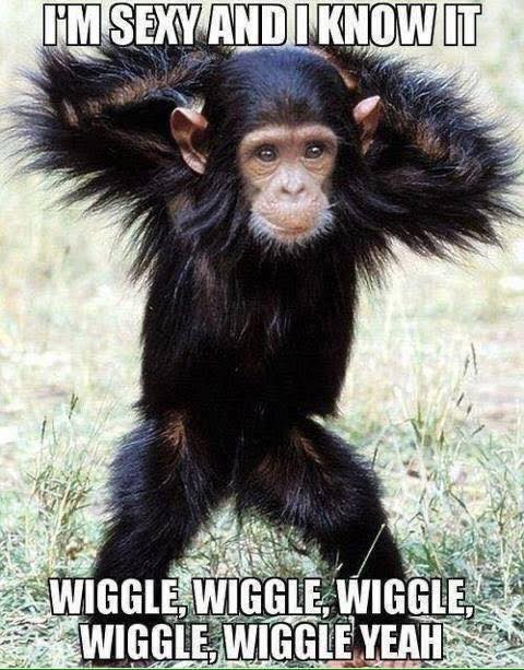 Mad_Rebel2's tweet photo. @roosterpisces @blueskies6123 @WmScottBlair @JadedByPolitics @lupash8 @sundoghigh @SavvyHuman @HomeOfUncleSam @1MariCampbell @Daves_Grill @yrwol7 @DoodlesTrks @janetshoemake #Featherless
Still no as sexy as me... https://t.co/8Q1cPU6d3Z
