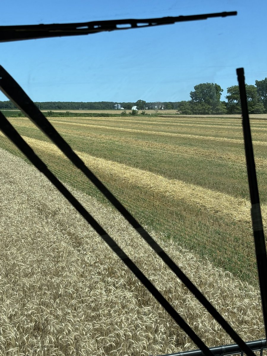 Very happy with the drone spread red clover and alfalfa. Thanks <a href="/drone_spray/">Drone Spray Canada</a>
