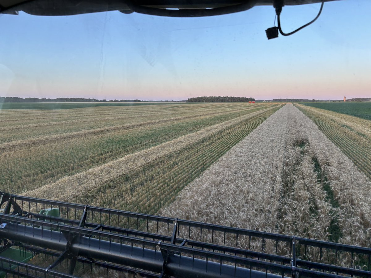 Josh Butler tweet media