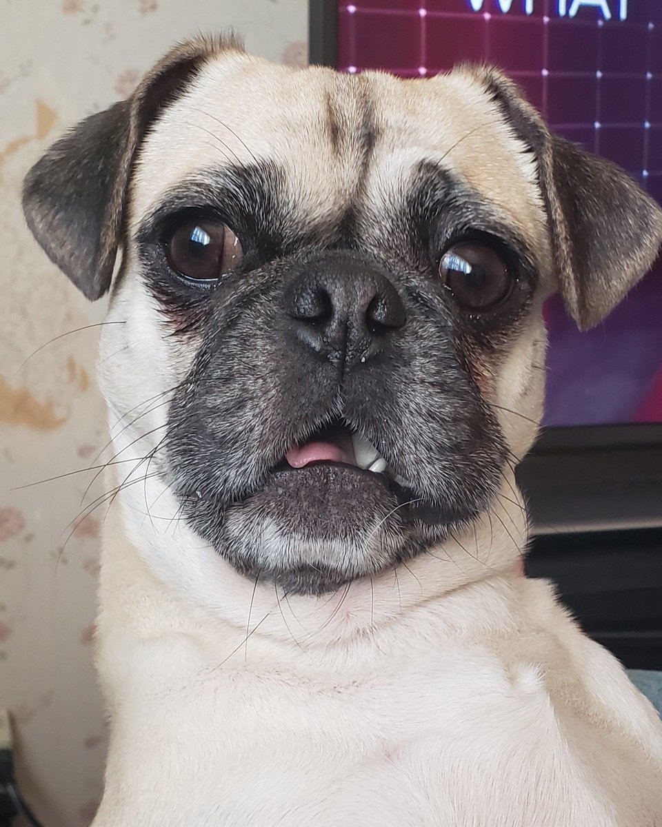 My shocked face when Bondi and Trump blame the "activist" judge for not being able to release the files.