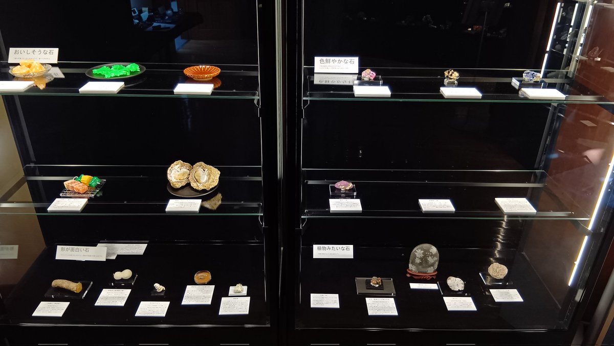 ishitokenji's tweet image. 明日から開催の島本奏汰さん『◯◯な石展』・展示レイアウトがほぼ出来上がっております。
明日ご本人が持参する壊れやすい鉱物が空いたスペースに収まり、午前中には皆様にご覧頂けますので、宜しくお願い致します😊