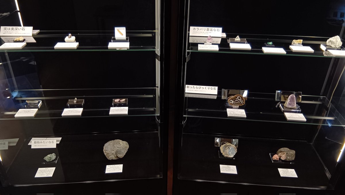 ishitokenji's tweet image. 明日から開催の島本奏汰さん『◯◯な石展』・展示レイアウトがほぼ出来上がっております。
明日ご本人が持参する壊れやすい鉱物が空いたスペースに収まり、午前中には皆様にご覧頂けますので、宜しくお願い致します😊