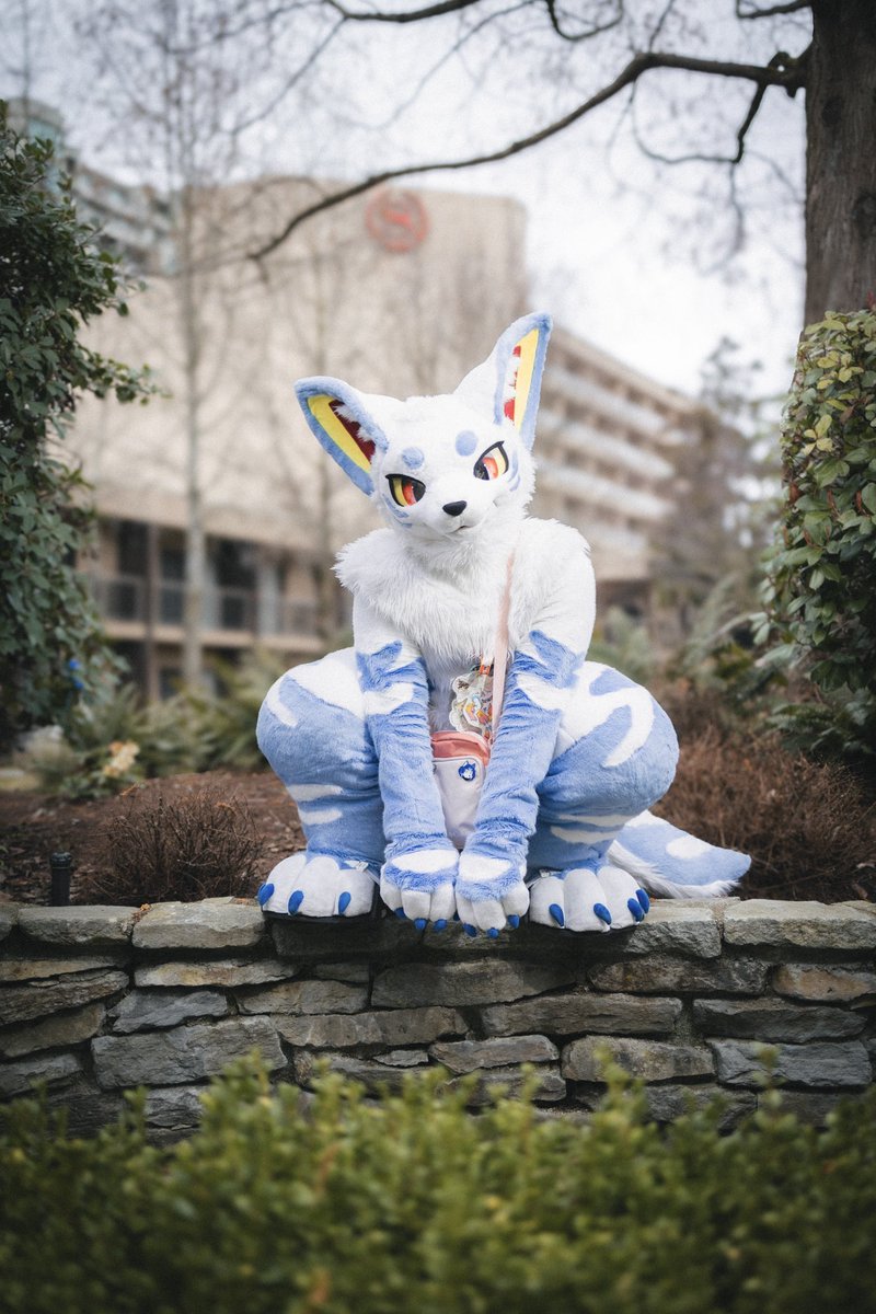 ☁️💙Pajra/ハイラ💙☁️ ➡️ FWA2026 tweet media