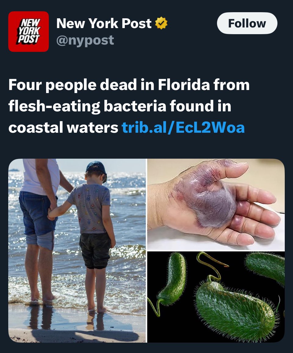 GoodShepherd316's tweet image. As if 2025 wasn’t strange enough; here comes a flesh eating bacteria in Florida with 11 confirmed cases and 4 deaths.