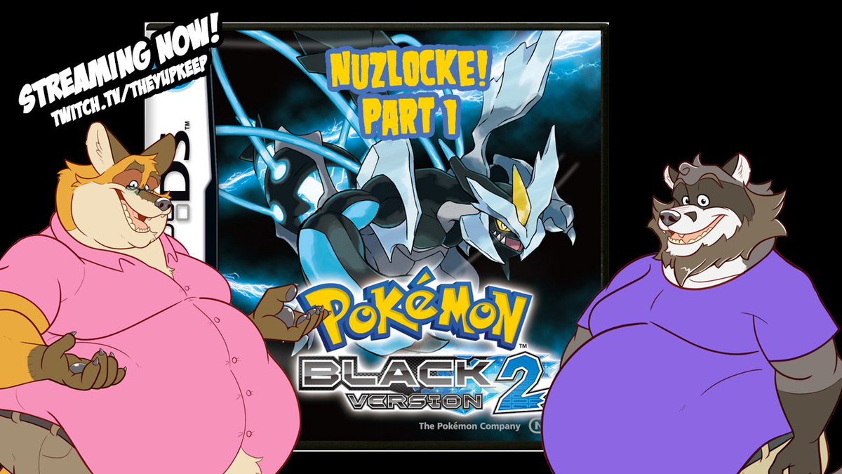 waffles_yupkeep's tweet photo. Hei Hei everybody @Spirited_Fox and I are back to another Pokemon Nuzlocke!! It is Black and White 2 this time. What about Omega Ruby you ask? Well we thought it was very boring content and decided to switch it up! Join us at https://t.co/a6uXPXCiAD https://t.co/wfdUuE0l3D