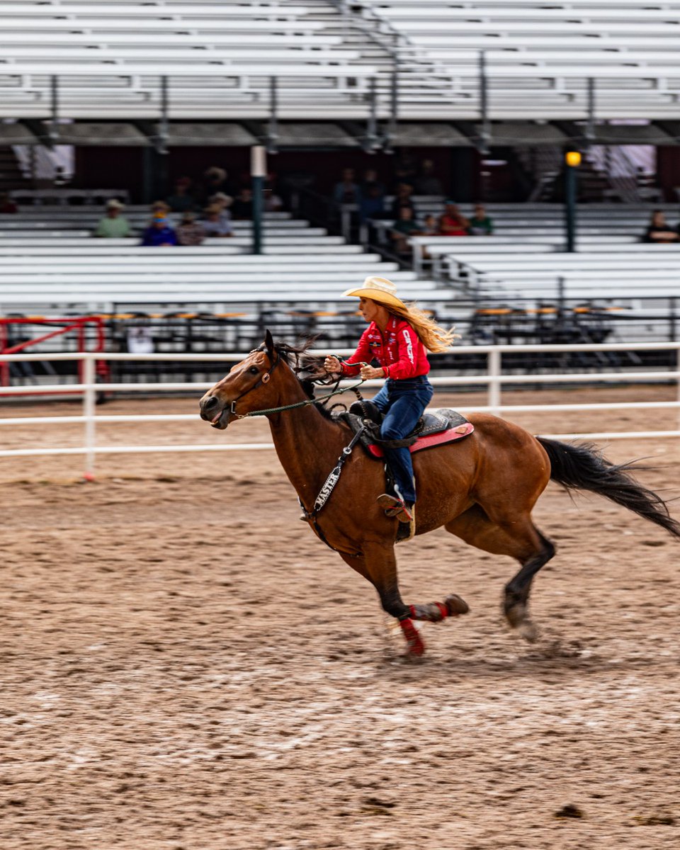 Travel Wyoming tweet media
