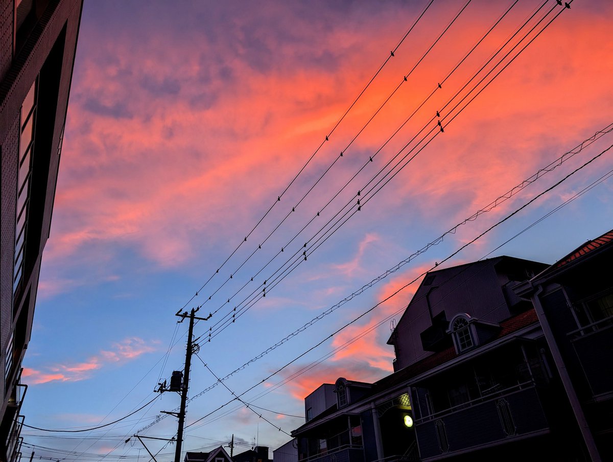 ねり伊呂波(🍭•᎑•🍁) (@rhoia168) on Twitter photo 