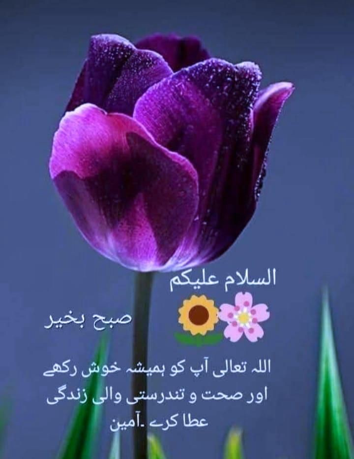 اسلام وعلیکم ورحمتہ اللہ وبرکاتہ ❣️ 
🌺صبح بخیر 🌺
اللہ پاک آپ کو اتنی خوشیاں دے
 کہ آپ کبھی اُداس نہ ہوں۔۔
 اللہ پاک آپ کو کسی کا محتاج نہ کرے
 اپنی رحمت کے خزانو میں سے نوازتا رہے
ہر دکھ ،بیماری اور مصیبت سے نجات عطا فرمائے 
آمین ثم آمین 🤲🏻 
#X_promo