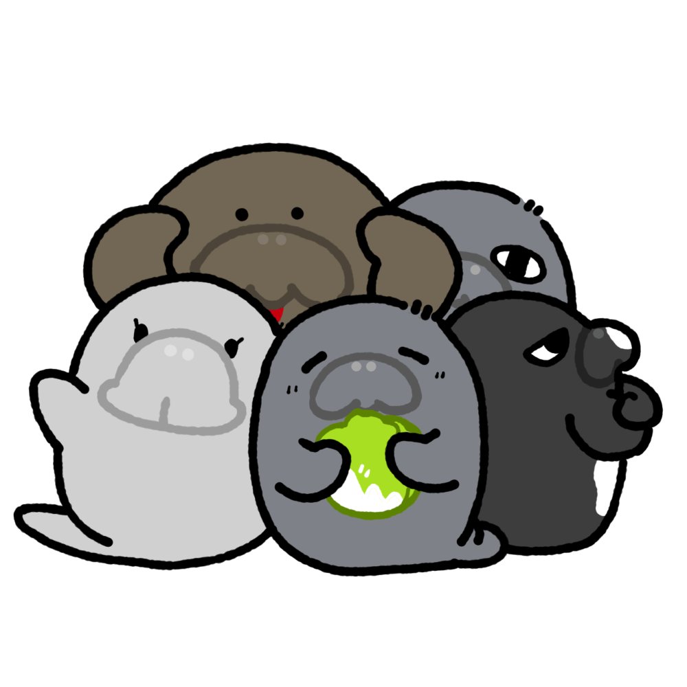 yufunamu's tweet image. #生き物作家さん集まれ2025
マナティー！ジュゴン！ステラーカイギュウ！
海牛類が大好きでぬいぐるみや雑貨など作ってます(◜ω◝)∩🥬