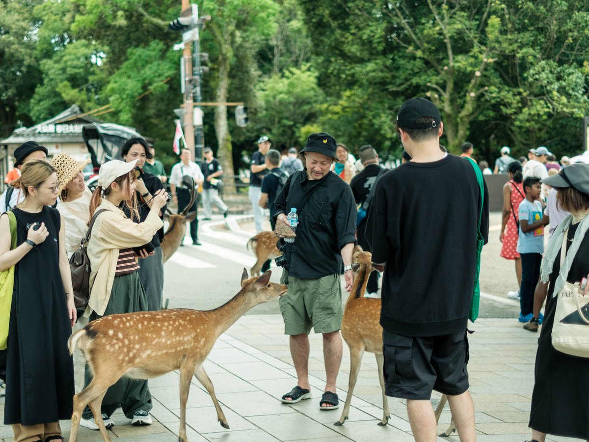 おはようございますー！昨日はフォトウォークから夜の飲み会、三次会まで本当にありがとうございました😭
正直こんなに盛り上がるとは思ってなかったからやって良かったなーと思いました！
バタバタし過ぎて集合写真撮ってないのが悔やまれる、、
写真は鹿に舐められるトムを撮る人達。