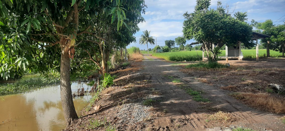 แอบซุ่มในมุมมืด tweet media