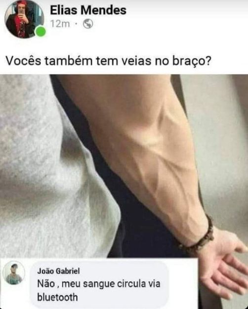 burrosgeniais's tweet image.