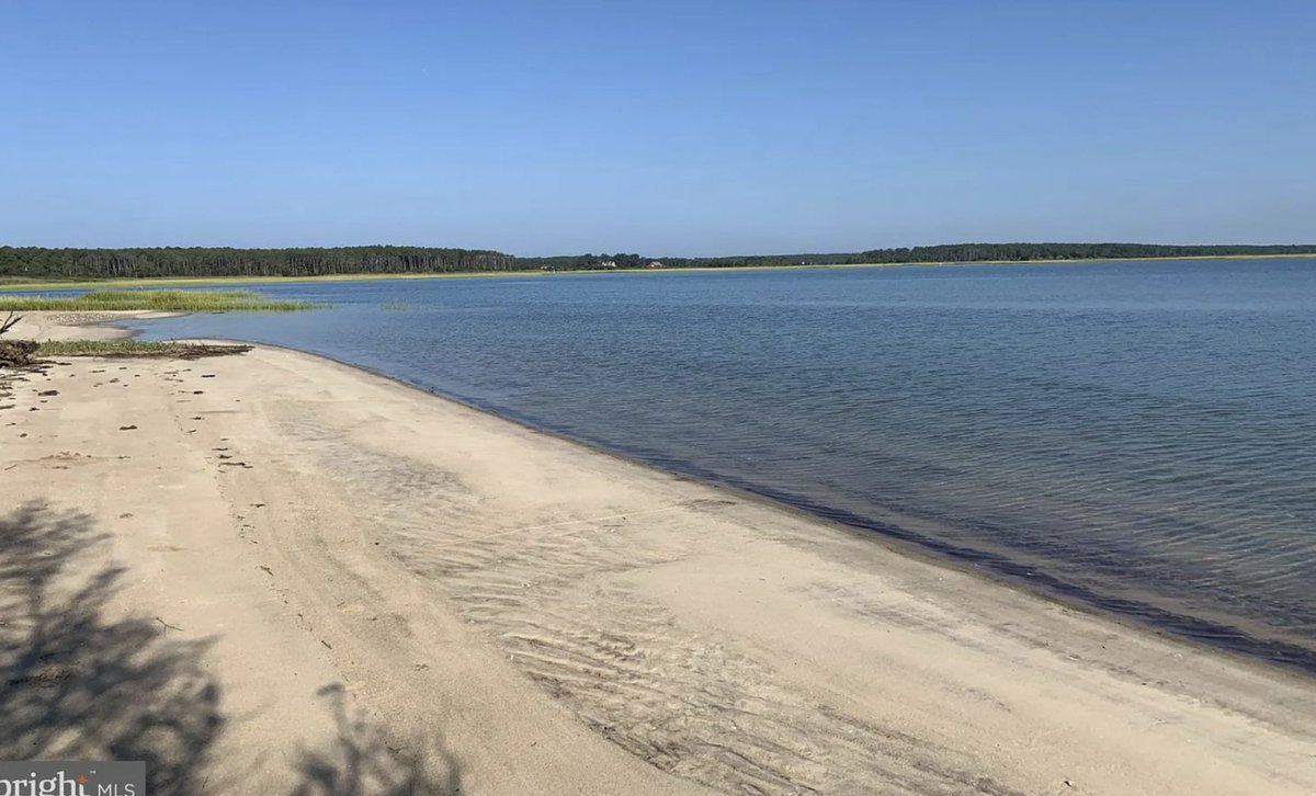 StevenTDennis's tweet image. Your own 183-acre private island in Virginia is just $1.795M. There is a catch. #FridayNightZillow zillow.com/homedetails/53…?