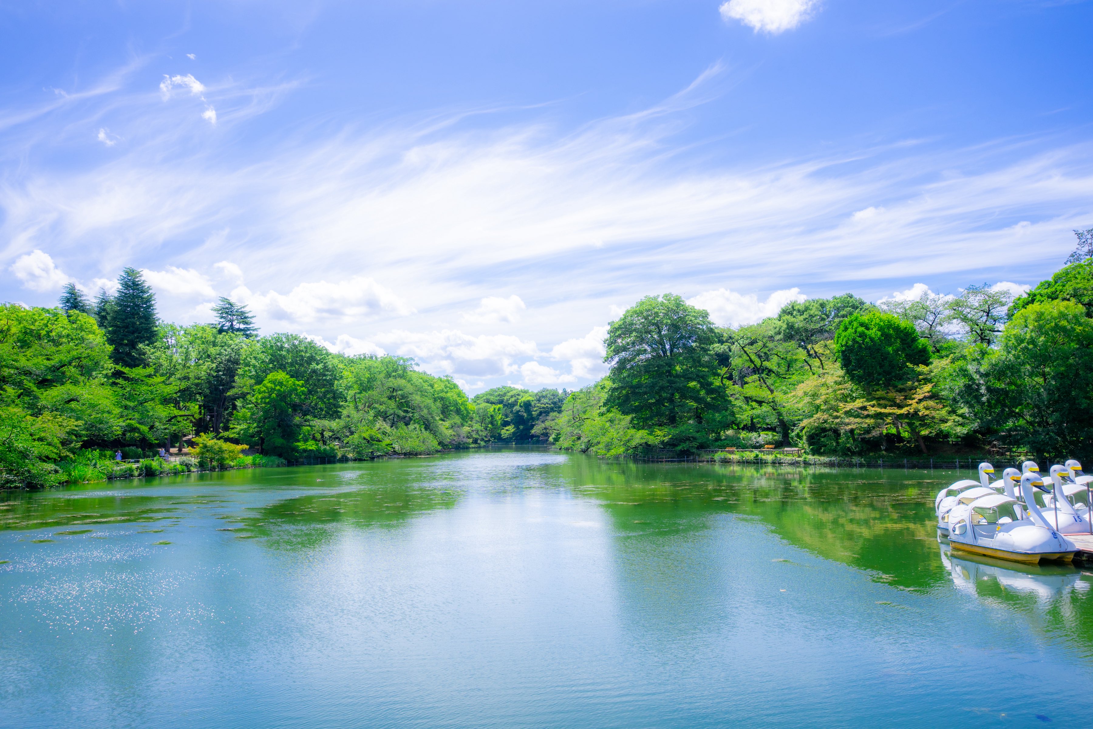 写真イ、ドンウク12 沖縄・春のトンボたち -1 : 湘南むし日記
