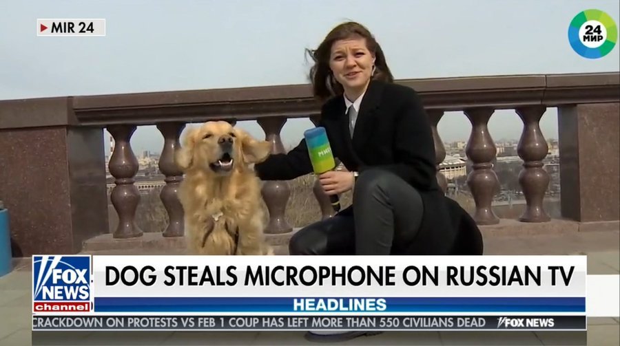 CNN: Trump's Epstein scandal grows worse

MSNBC: Trump's Epstein debacle intensifies

Fox News: Dog steals microphone on Russian TV