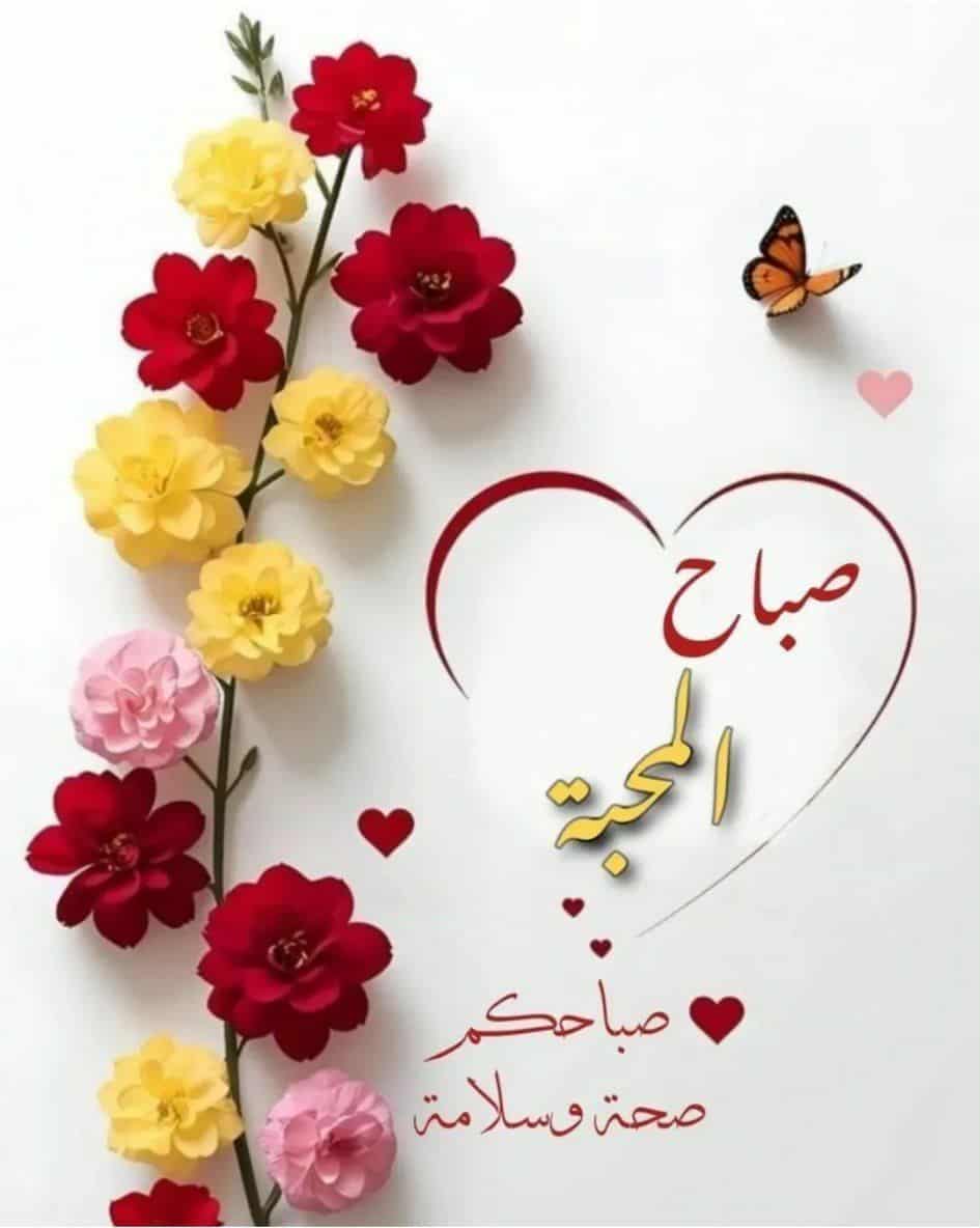 ‌صباح الهدوء والطمأنينة ..
أسأل الله أن يملأ قلوبكم بالسعادة والسكينة طوال اليوم .

#صباح_الخير