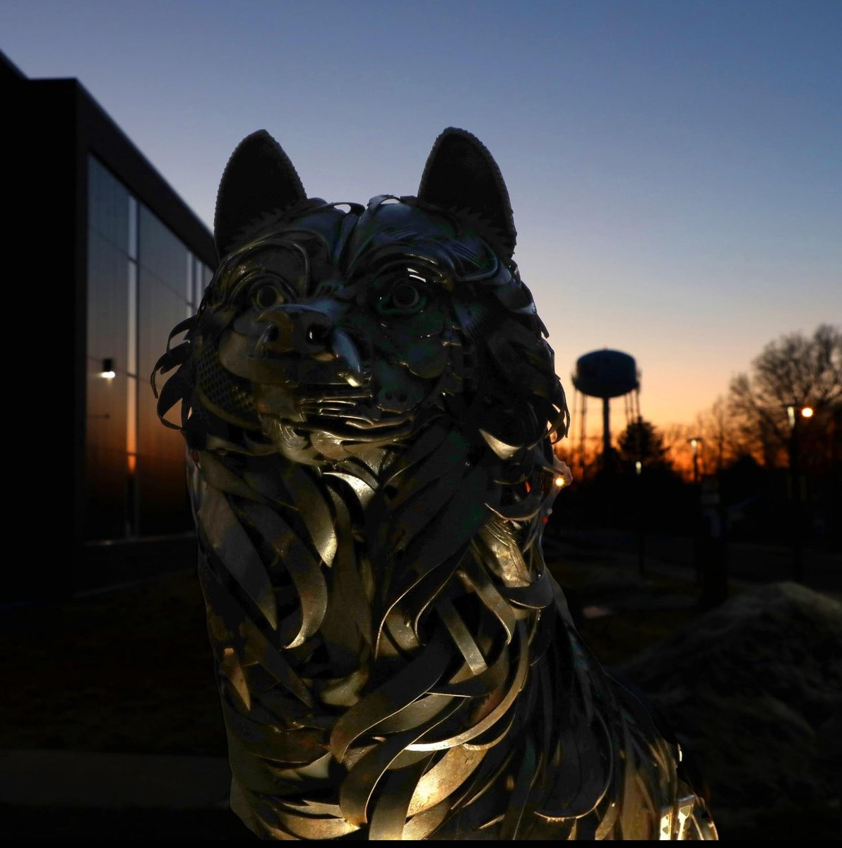 Great Day to be a Wolf!!! #Let’s Hunt🐾🐺🏐
