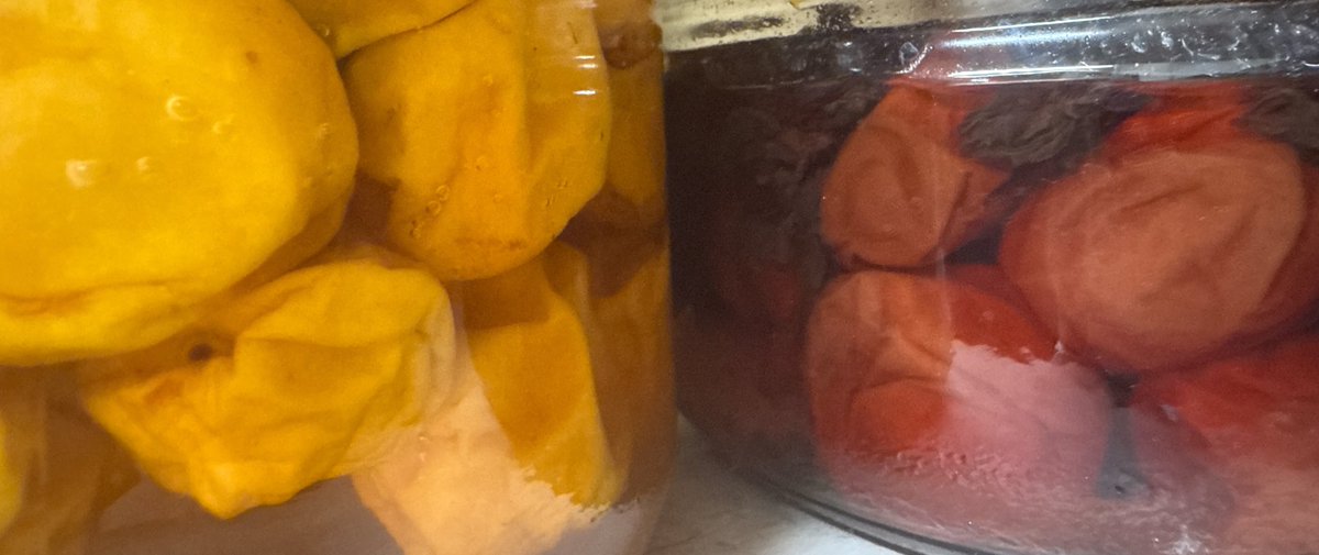 酸味でカラダを引き締めて🍋

夏本番☀️
外に出れば汗が止まらない季節ですね。
発汗は体温調節に大切ですが、流れすぎると困りもの。

そんな時は「酸味」の出番。
酸味にはカラダを引き締め、汗の出すぎを防ぐ働きがあるといわれています。

レモンの蜂蜜漬けや梅干しなど、取り入れてみてね✨