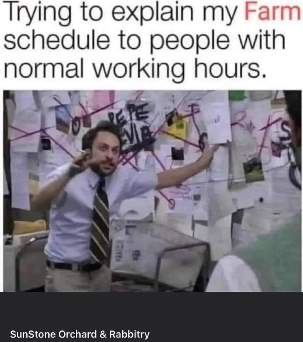 johndeeredr's tweet image. 