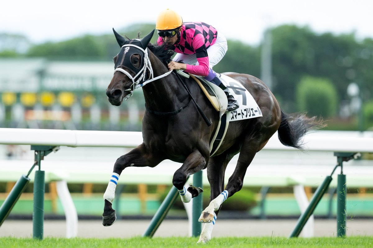 LegendaryJockey (@LegendaryJockey) / X