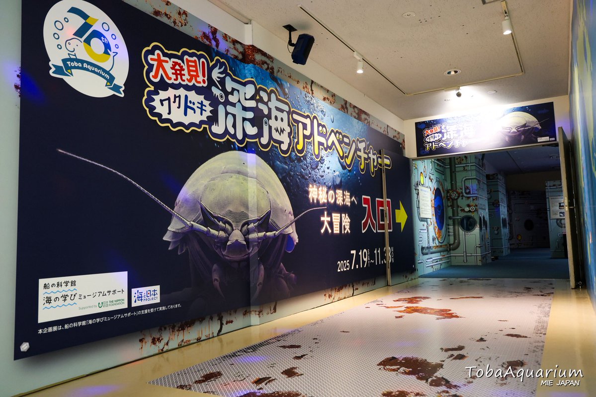 TOBA_AQUARIUM's tweet image. 夏の企画展『大発見!ワクドキ深海アドベンチャー 〜熊野灘から見る深世界〜』本日よりスタートです🌟
館内3Fの企画展示室が潜水艦に大変身✨深海の世界へ冒険しましょう🐟🫧
詳細はこちら aquarium.co.jp/event/summer-e…
#鳥羽水族館 #ワクドキ深海アドベンチャー