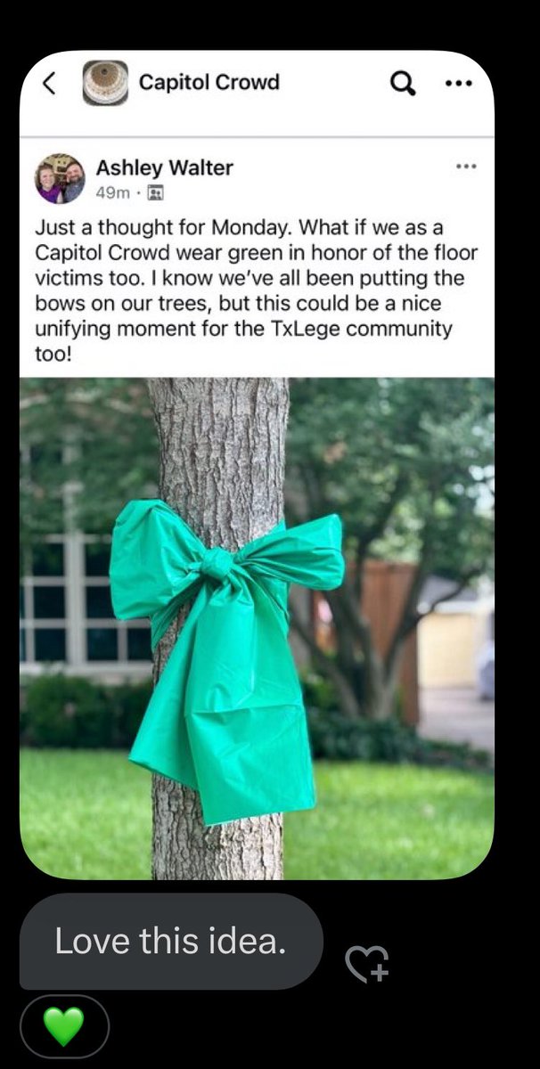 txcapitolgirl's tweet image. a lovely idea in my dms today!
i would like to request that you all join me in wearing your very best hill country green slays on monday to celebrate the first day of 89(1) and to remember those lost in the devastating floods 💚
#txlege