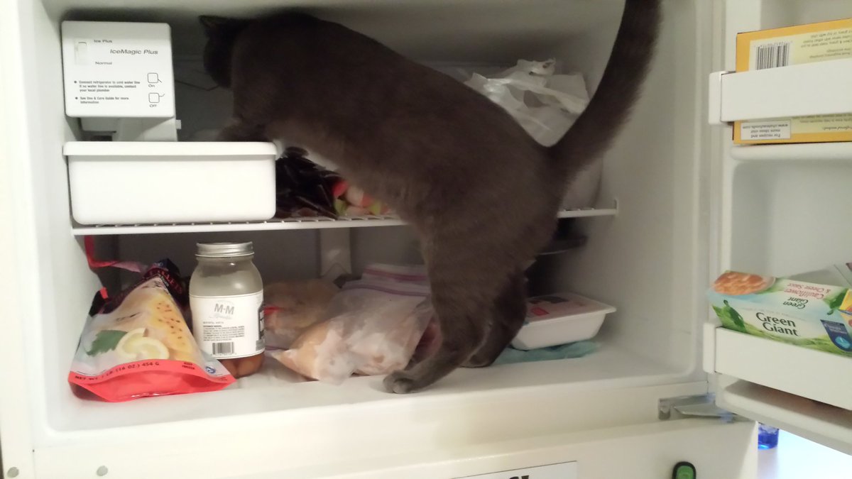 Happy Friday  #OPNation. Ran out of ice for my Friday night libations. Hemi to the rescue to turn the ice maker on. Such a good boy. #OPLive #OnPatrolLive #Reelz