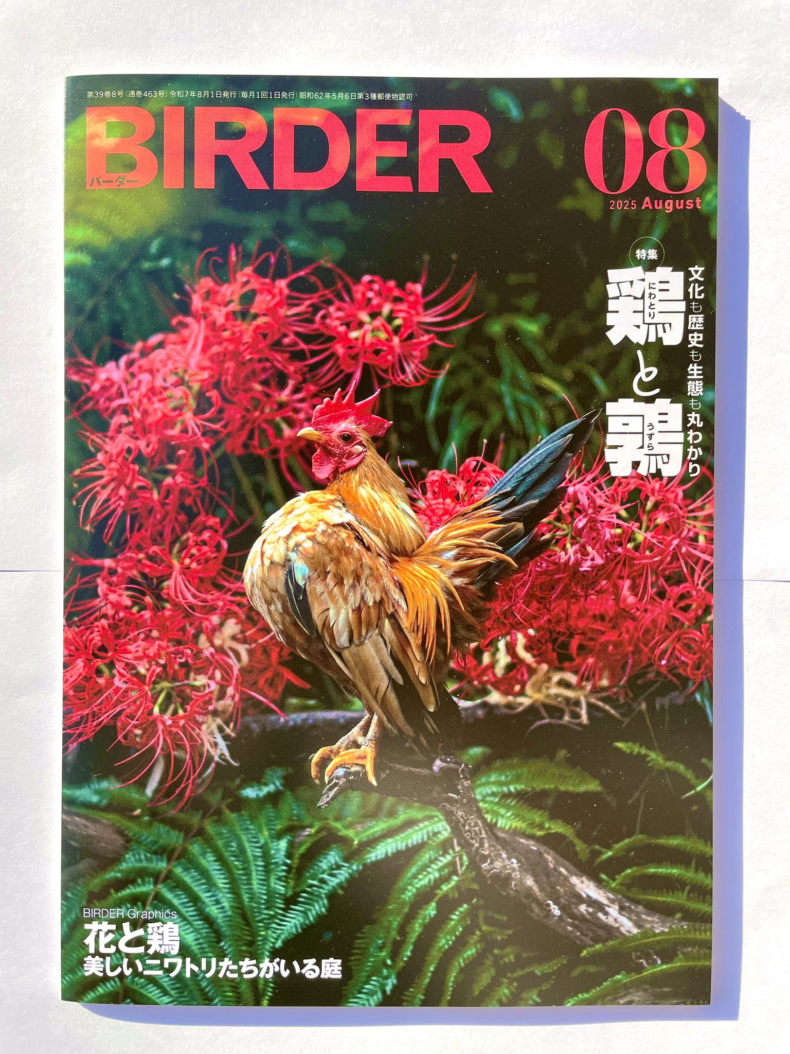 蔦屋書店長岡古正寺店 on X: 