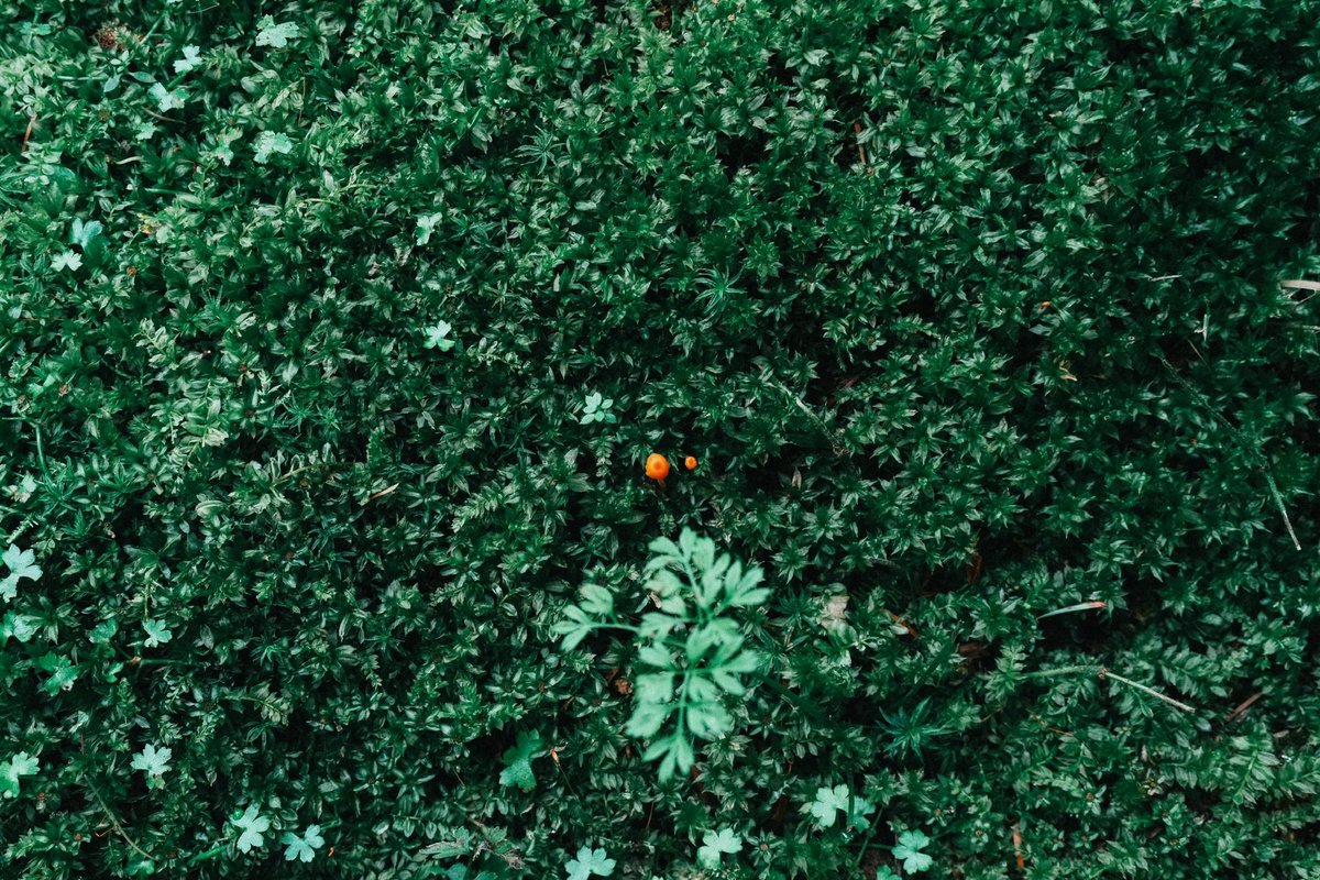 BUGGY CRASH NIGHT Tシャツ　JIRO Crash Team Racing Shirt, Japanese Streetwear - Etsy