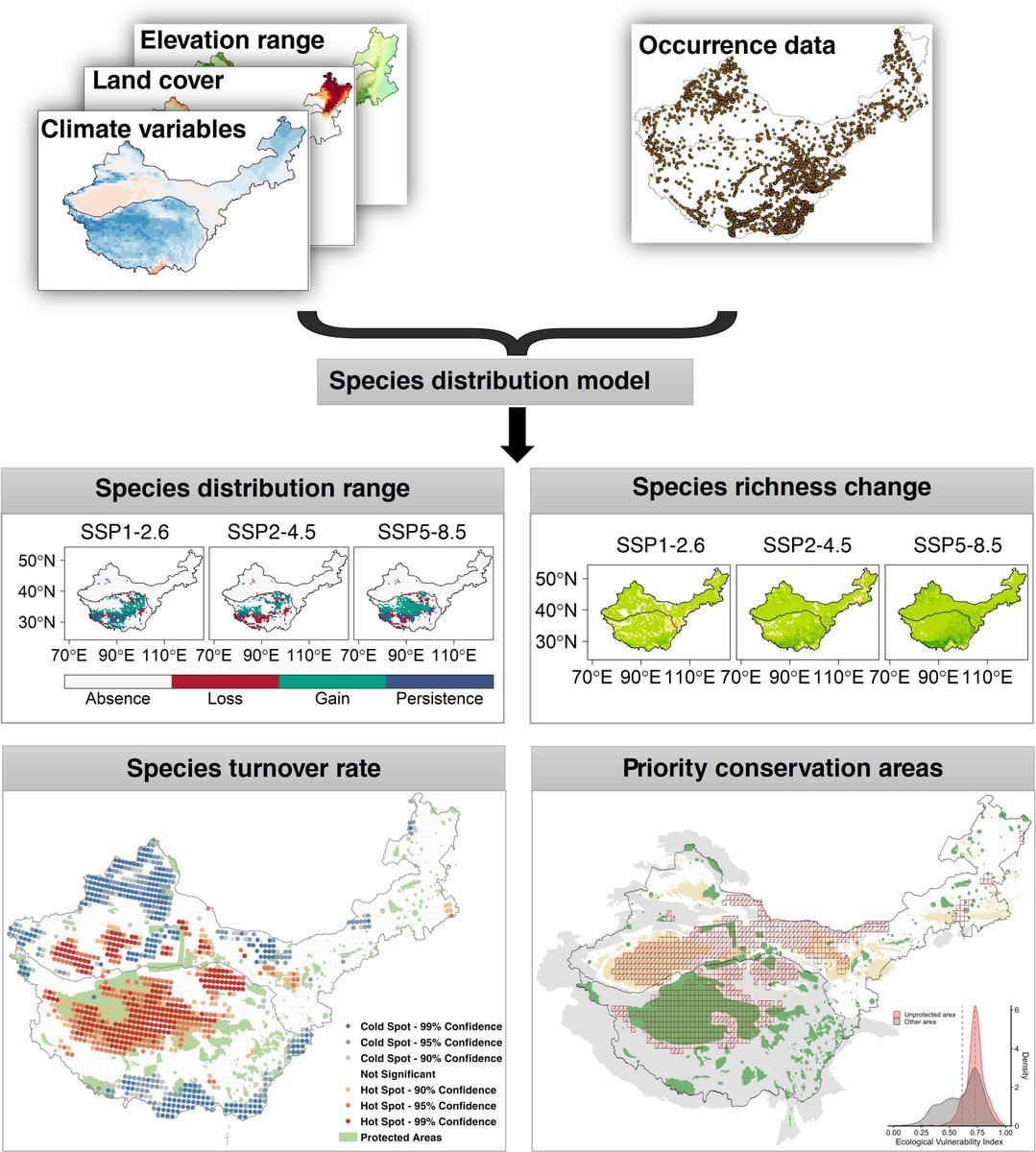 Distribution Range and Richness of Plant Species Are Predicted to Increase by 2100 due to a Warmer and Wetter Climate in Northern China 

🔗 buff.ly/C0zlMuO