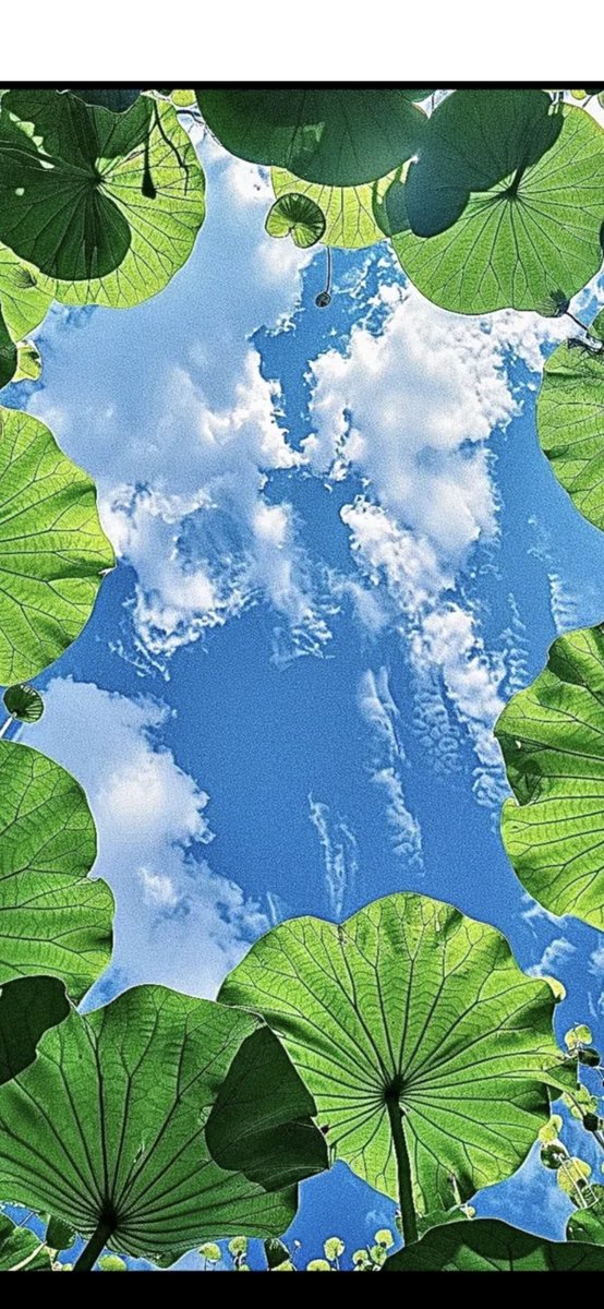 まあたん🙄💙💛❤️ (@matan3654) / Posts / X