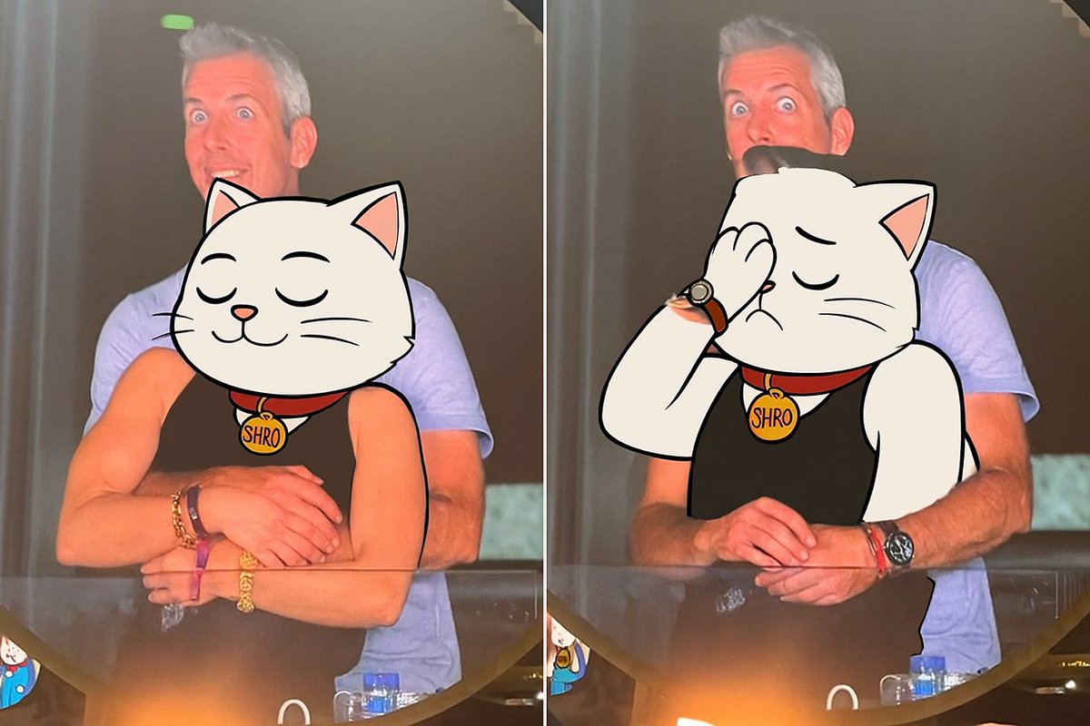 GrumpyX_eth's tweet image. $Shiro spotted at Coldplay.